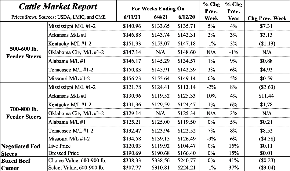 Table Market Report 11th